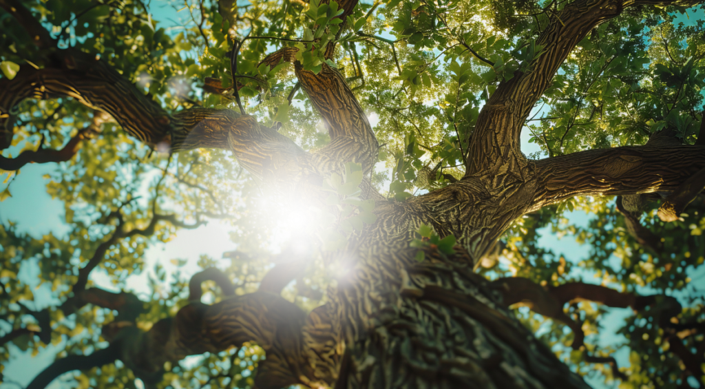 「今、この瞬間」に戻るだけで、心は少し静まります